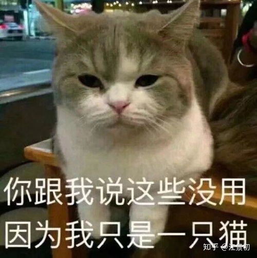幽默表情包聊天微信微信