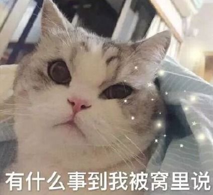 幽默笑话,舍友的异地恋女友来找他玩