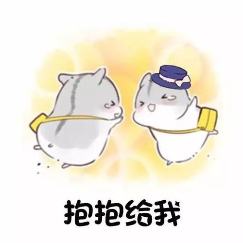 仓鼠情侣表情包老婆我想你了,老公我想你了