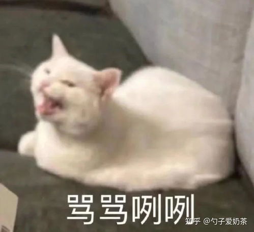 为什么哈利波特乙女里西奥多人气那么高