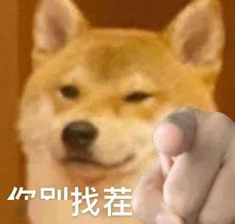 救命95岁的大爷喊我姑奶奶哈哈哈哈不愿再笑