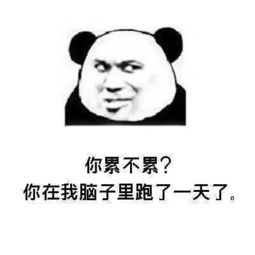 地表最强,撩妹套路表情包,撩的女生洗澡都想着你