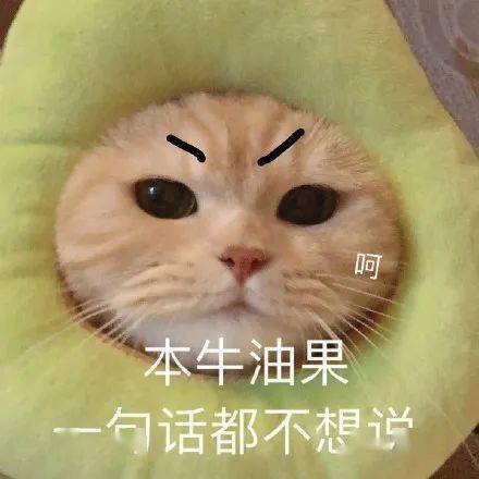 如此霸道施工连小学生和公交司机都怒了