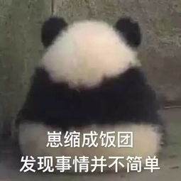 你老公和你老婆在一起啦