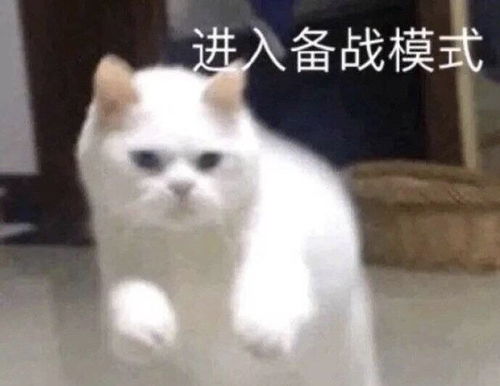 赛季末努力不暴躁的最后4局