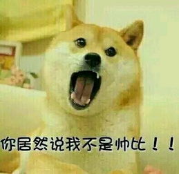 史上最全的doge表情包,伸手党不要错过