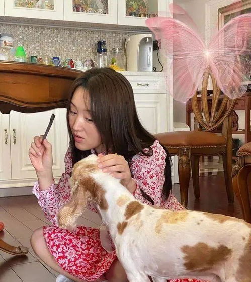 49岁杨钰莹晒千万豪宅穿花裙装嫩,生活惬意