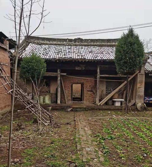 洛阳客家文化研究会到洛宁考察闽营客家传统文化