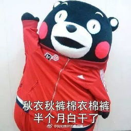 大棉袄二棉裤表情包倒霉日记