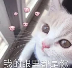 娜扎撞衫金喜善完胜奶茶同框刘诗诗惨败,时装周最有看点的是整成网红脸的她