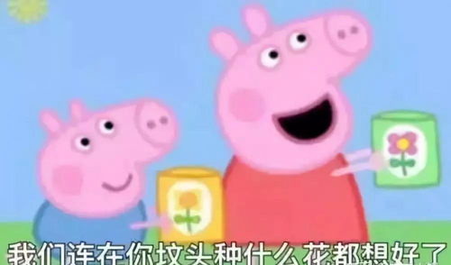 杨天真的出道综艺,你打几分