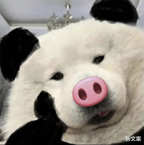 被稀有姓氏毁掉名字是啥体验哈哈哈,笑yue了