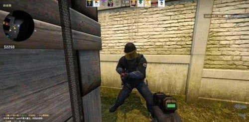 csgo为啥茄子冬瓜都在喷老六自由人和老六是两个概念
