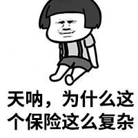 个人在国内旅游需要买什么保险
