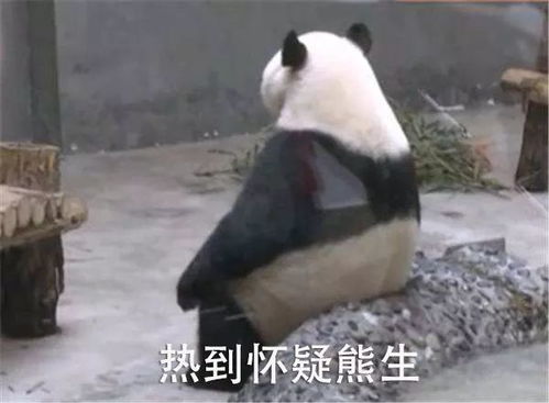 徐州发布雷暴黄色预警89级大风还有大暴雨没带船出门的赶紧回家吧