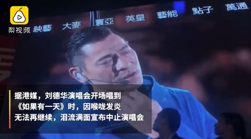你继续表情包刘德华