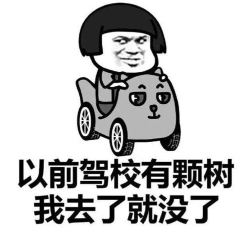 西吉公安查处驾驶证科目一考试高科技作弊案件