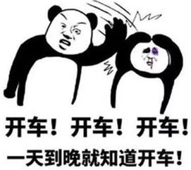 熟女和太妹,资深宅男这么选