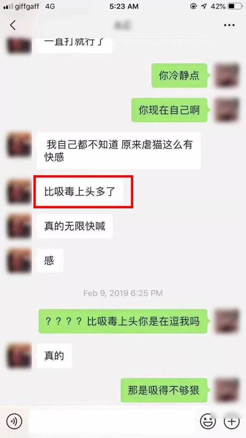 伦敦留学生情侣吸毒虐猫致死案冷血男扬言回国我就安全了