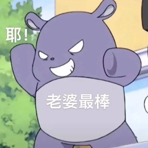 老婆奴巴库可爱表情包丨别骂了别骂了,我知错了