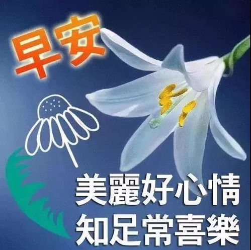 不要将自己看得那么卑微,因为好多人还不如你,早安