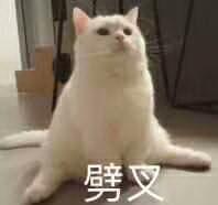 有什么套路女朋友的表情包