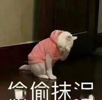 谁说一定要拼命运动女人啊,怎么舒服怎么来