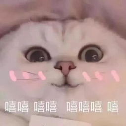 5月份起,表情包或将违法了,这些表情包你还敢用吗