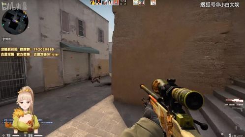 csgo古堡龙姬仓库价值上100万电竞白富美真实存在