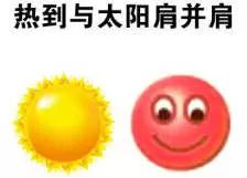 点开此文,收获一整个夏天的快乐