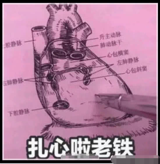 表情包你跟别人聊天我不生气,咱们建个q群一起聊咋样