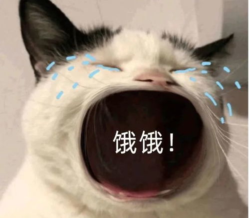 丧尸沙盒,但可以在自家小区开局