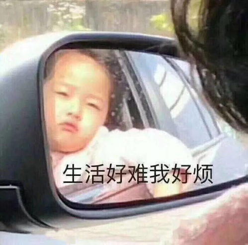 沈阳人请注意今天正式开始