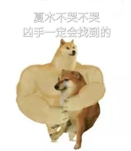 董子健是触发了虐文机关嘛