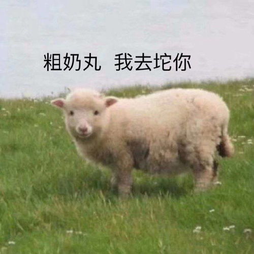 搞笑gif我问外公咋不送外婆玫瑰时,外公说傻老太太衬不上玫瑰