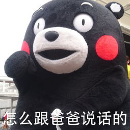 爸爸答案表情包