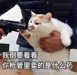 升温升温升温南昌天气将重返30,更让人难过的是