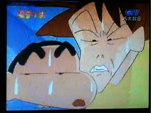 求一张蜡笔小新表情图片