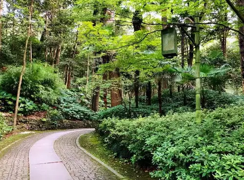 杭州中秋国庆旅游哪里好玩八个旅游胜地,家庭情侣皆适合
