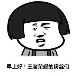 用这种方式问候你的有趣表情包早上好我的小宝贝