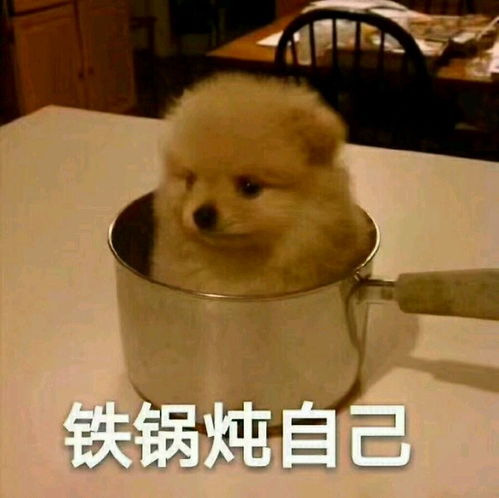太热表情包样子