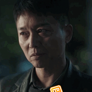 扫黑风暴表情包