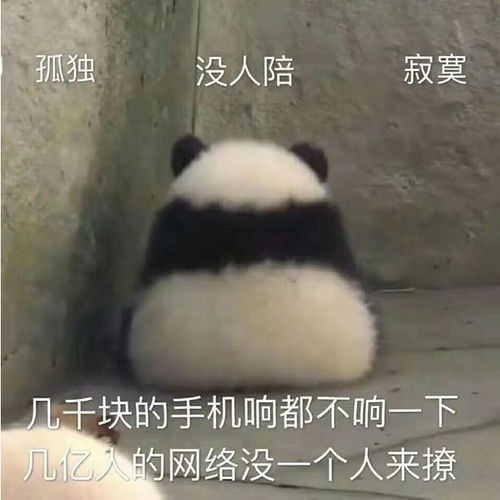 豆瓣9.6谁给我的胆子写这部番的