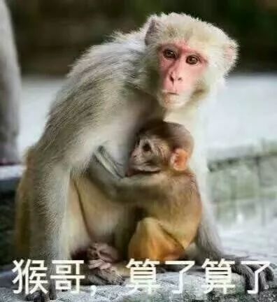 各种哥算了表情,用在你身边的猴哥鸡哥狗哥身上刚好