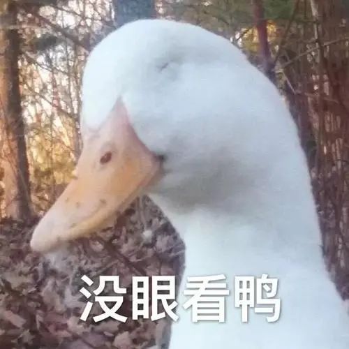 拘留新余一男子为省几百元,竟干出这种事
