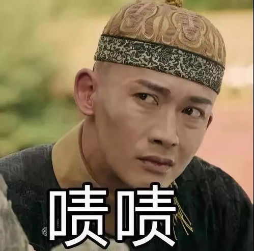 起来吧朕的籽岷表情包延禧攻略