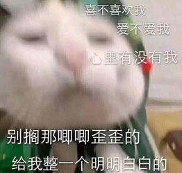 撩小姐姐的表情包,让聊天变甜