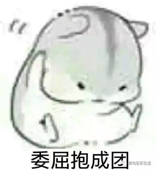 这就是你问我借钱的理由......