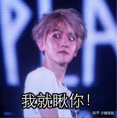 本人是一个新爱丽,希望得知一些关于exo介绍,越详细越好,也希望大家能够告诉我一些关于追星的软件谢谢