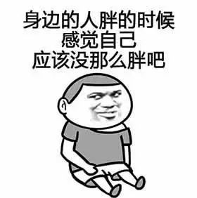 表情包减肥期间的我本人